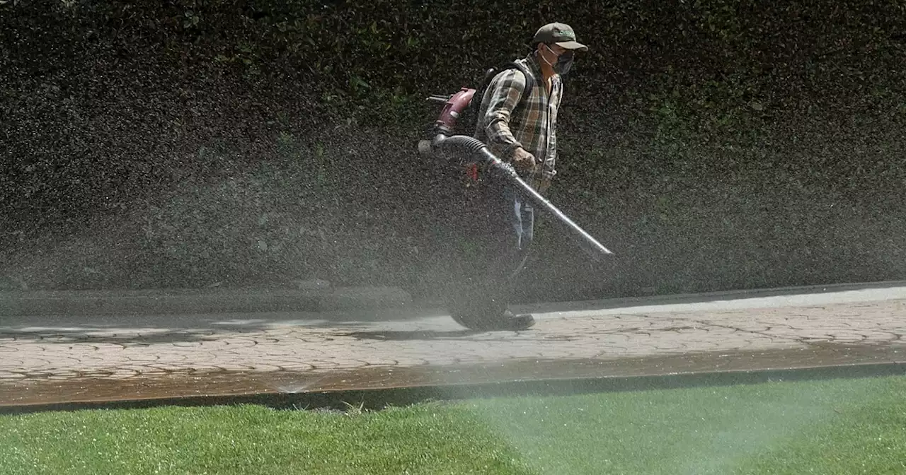 L.A. City Council approves twice-a-week outdoor watering limits in emergency drought plan