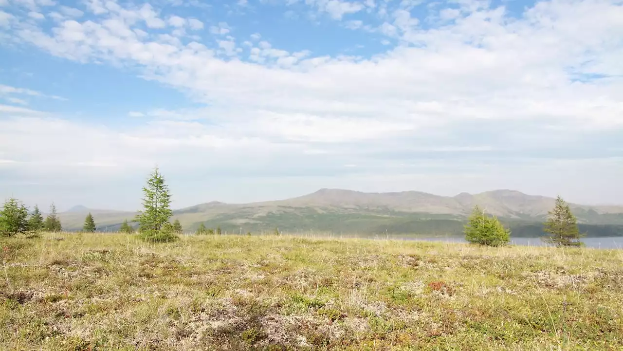 Sibiriens Tundra könnte komplett verloren gehen