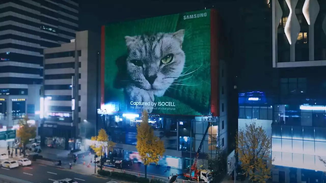 Samsung showcases its giant 200MP sensor by photographing a cat