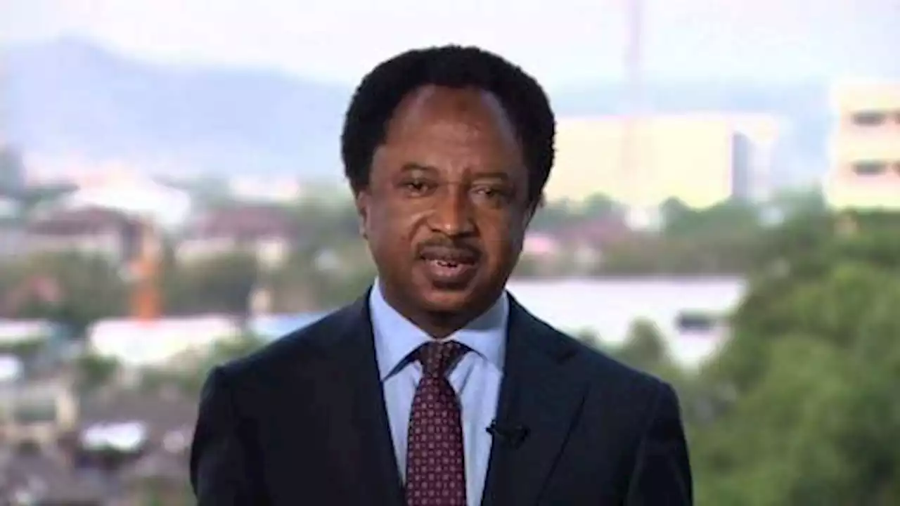 No Difference Between PDP Party Delegates, Bandits Collecting Ransoms – Shehu Sani Reacts After Losing Kaduna Governorship Ticket | Sahara Reporters