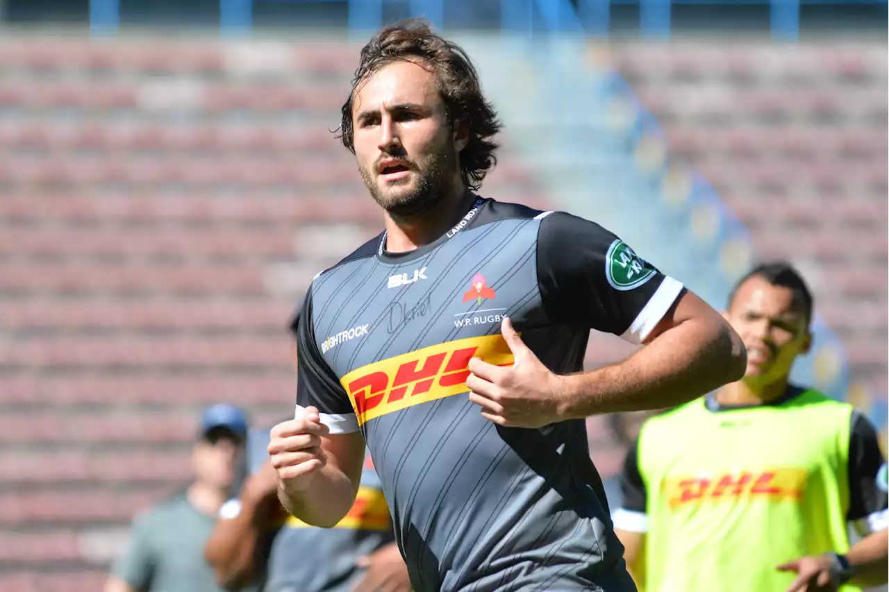 WP boosted by Stormers regulars for Lions clash