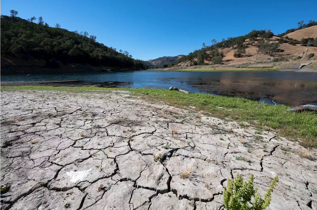 California approves new water restrictions amid worsening drought - The San Francisco Examiner