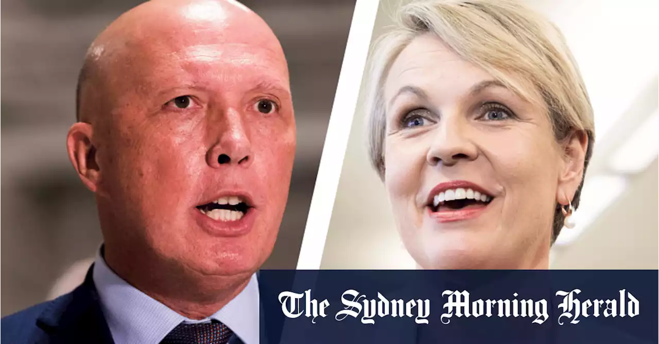 ‘Shouldn’t have said it’: Albanese condemns Plibersek for comparing Dutton to Voldemort