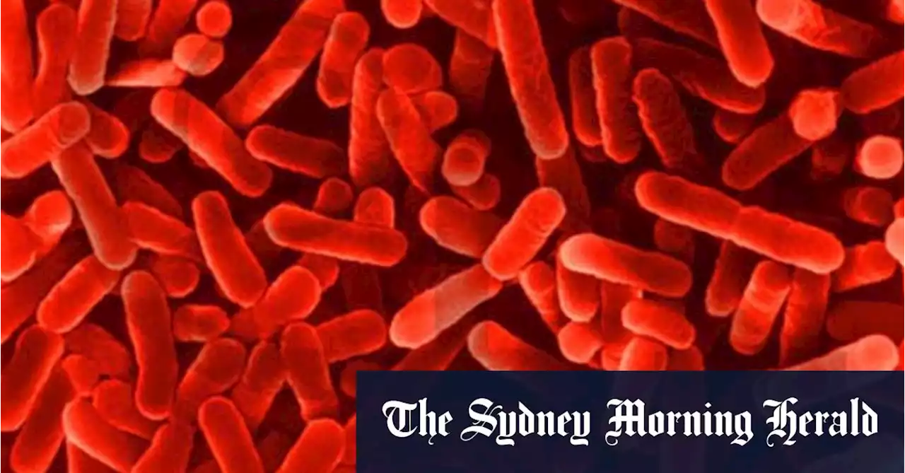 Sydney Legionnaires’ disease warning issued after five people infected