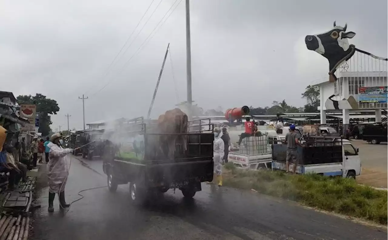 H-1 Penutupan Pasar Hewan, Ini yang Dilakukan Tim Gabungan Boyolali