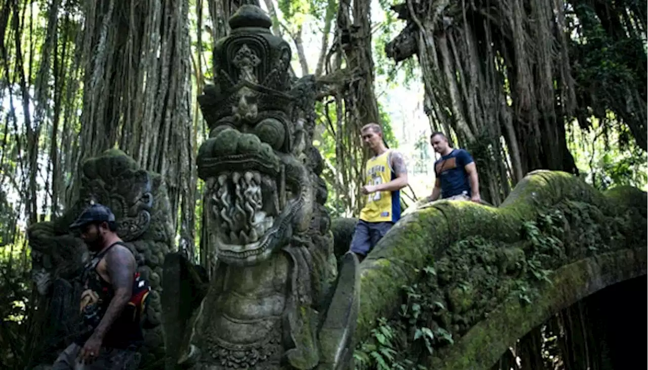 Pilihan Destinasi Wisata di Ubud Bali untuk Delegasi G20