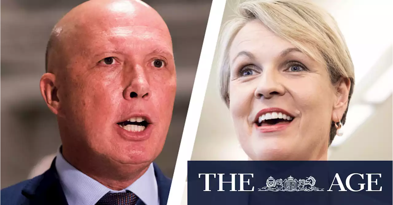 ‘Shouldn’t have said it’: Albanese condemns Plibersek for comparing Dutton to Voldemort