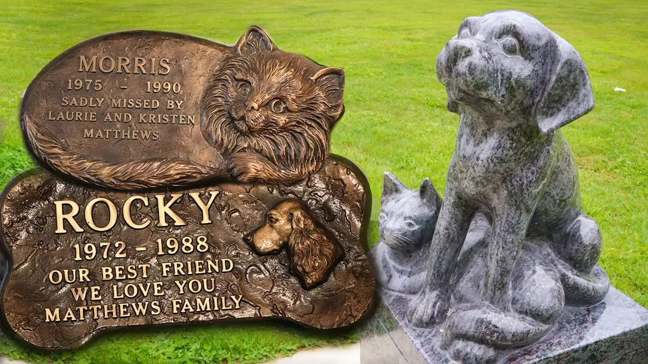 Philadelphia Memorial Park lets you get buried with your pet