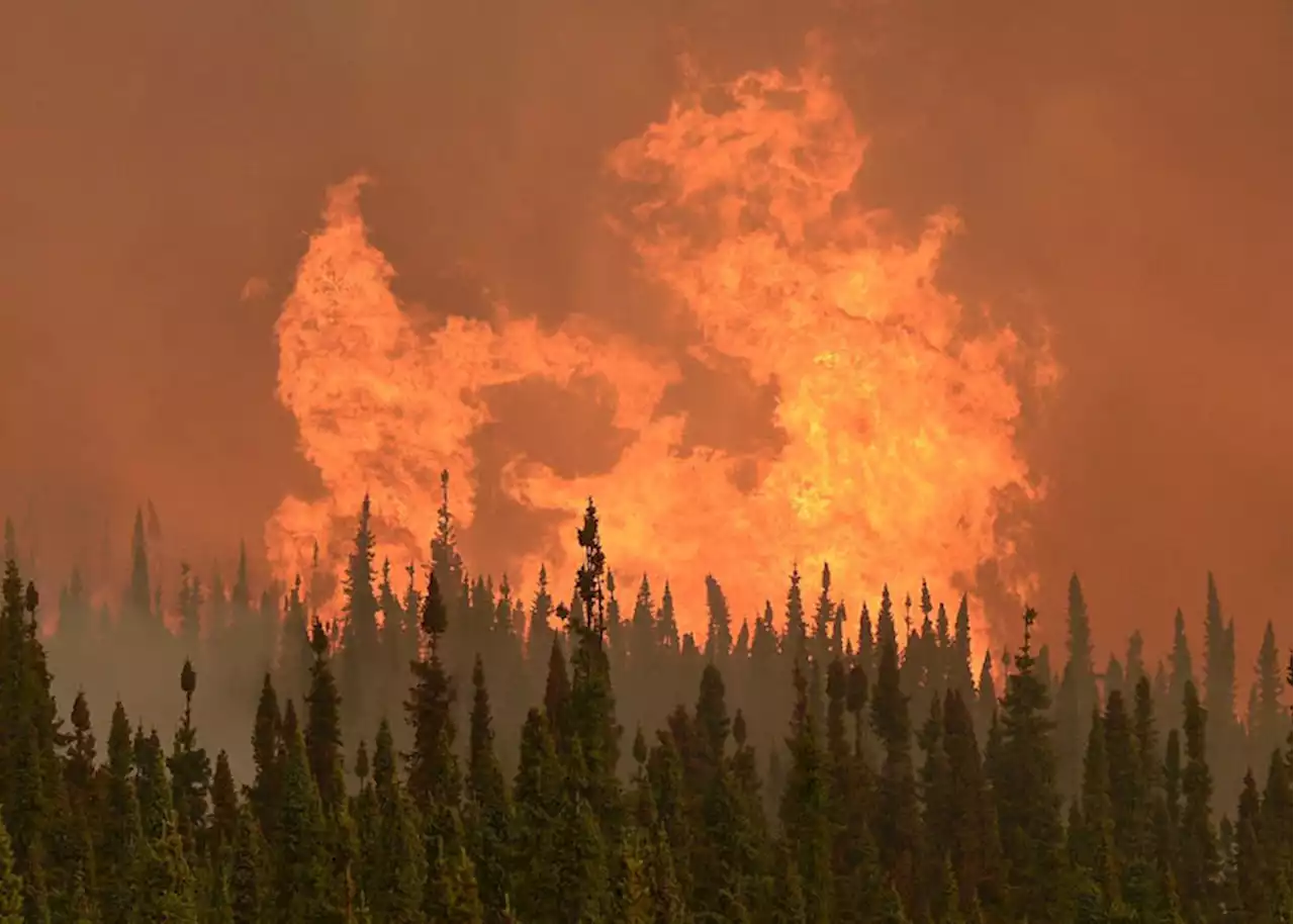 Alaska forestry officials warn of dangerous fire conditions heading into holiday weekend - Alaska Public Media