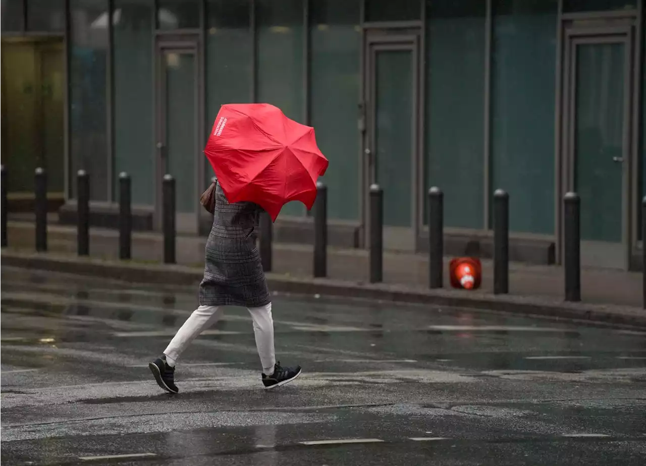 Wetter in Berlin: Amtliche Warnung vor Sturm