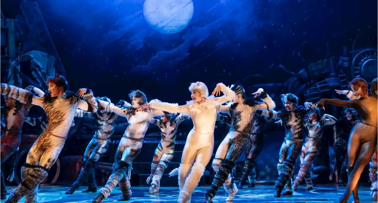 Tony-Award Winning 'Cats' Returns To Buell Theatre