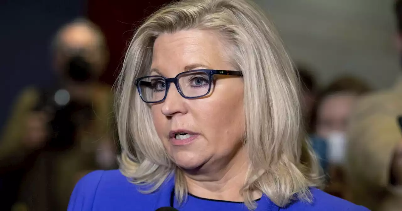 'A fight we must win': Liz Cheney announces reelection bid