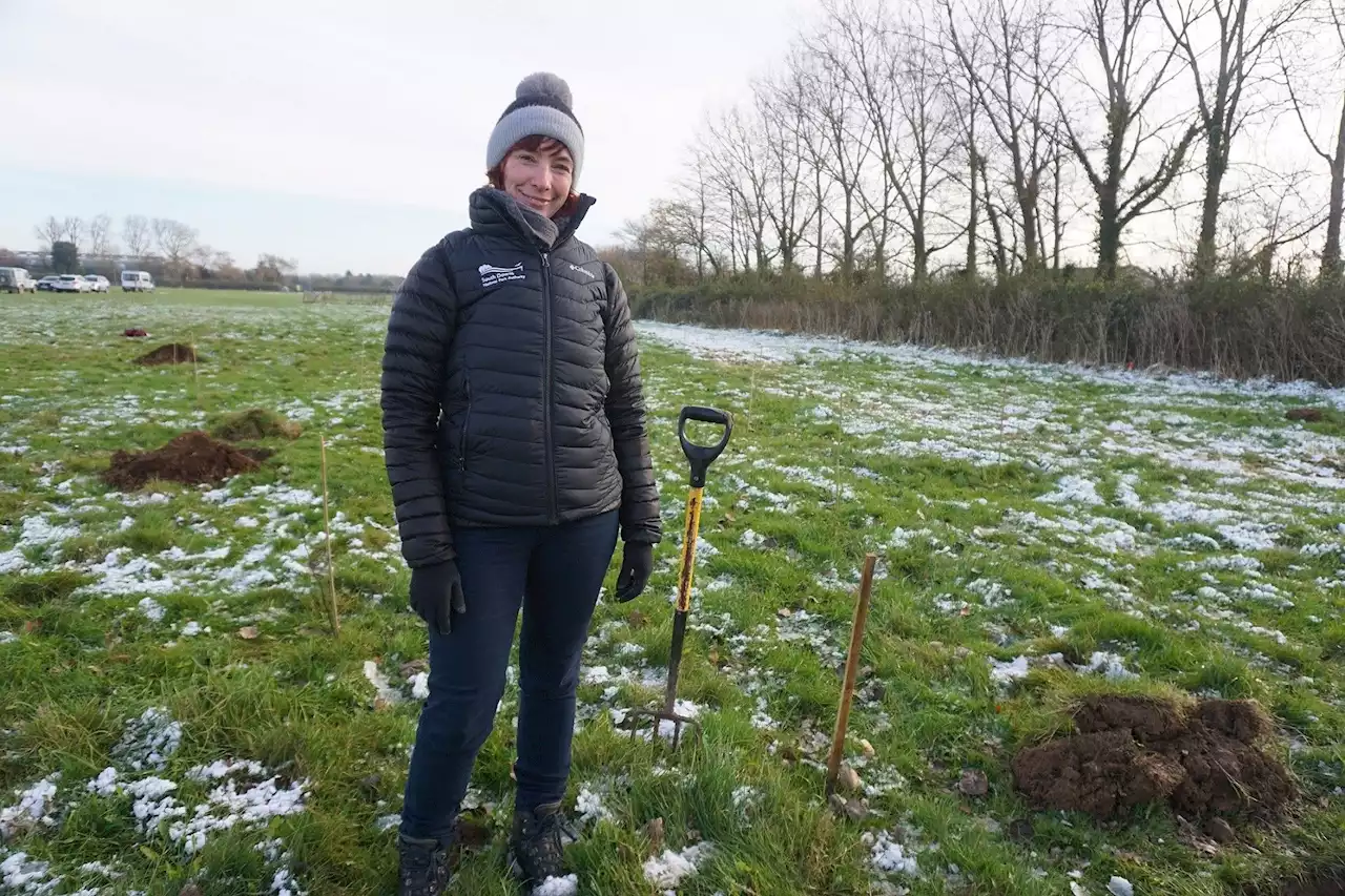 Thousands of newly-planted trees dedicated to Queen for Platinum Jubilee