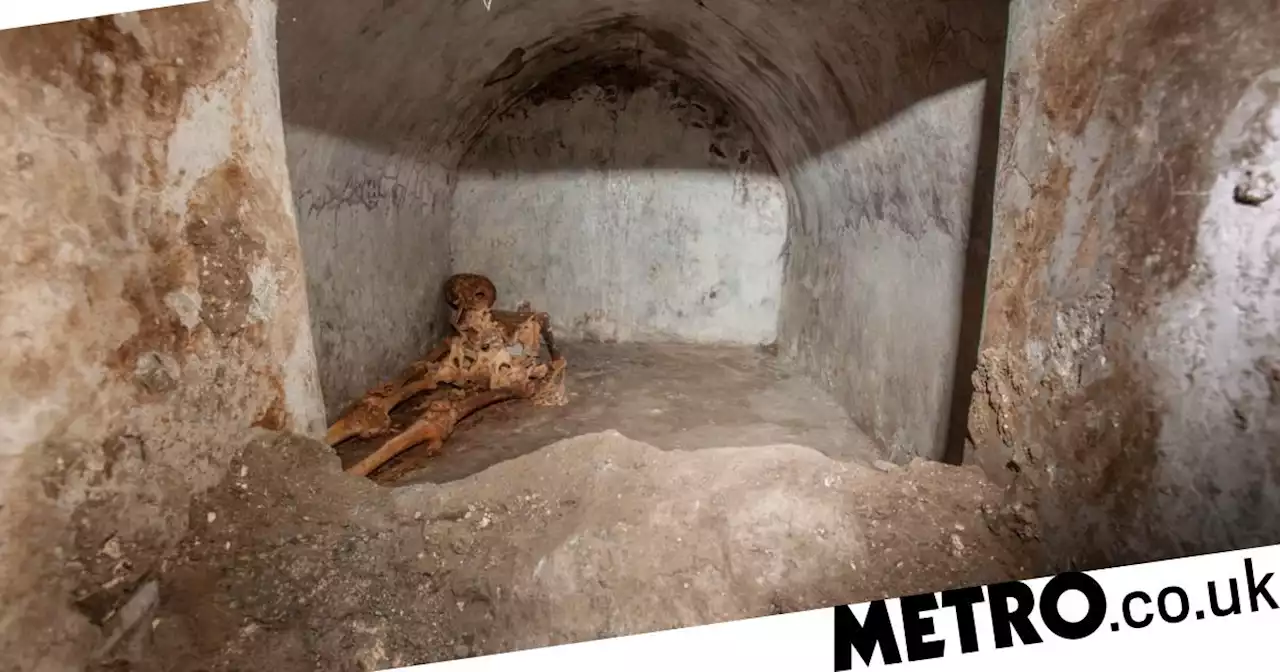 DNA of doomed Pompeii victim sequenced for the first time