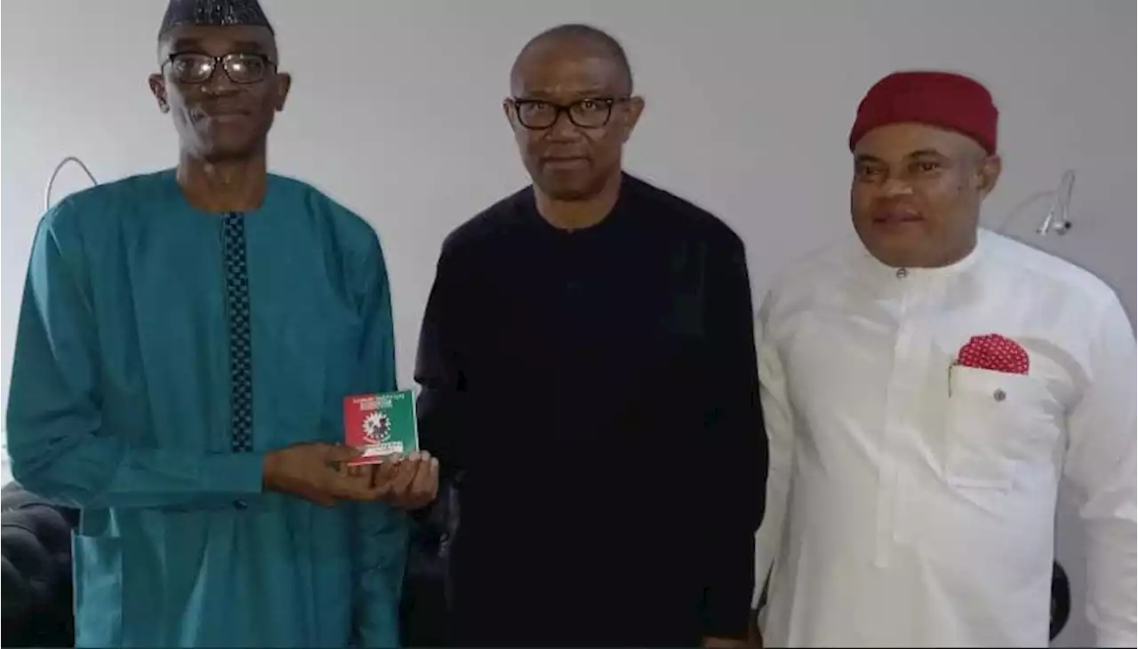 JUST IN: Why I joined Labour Party - Peter Obi