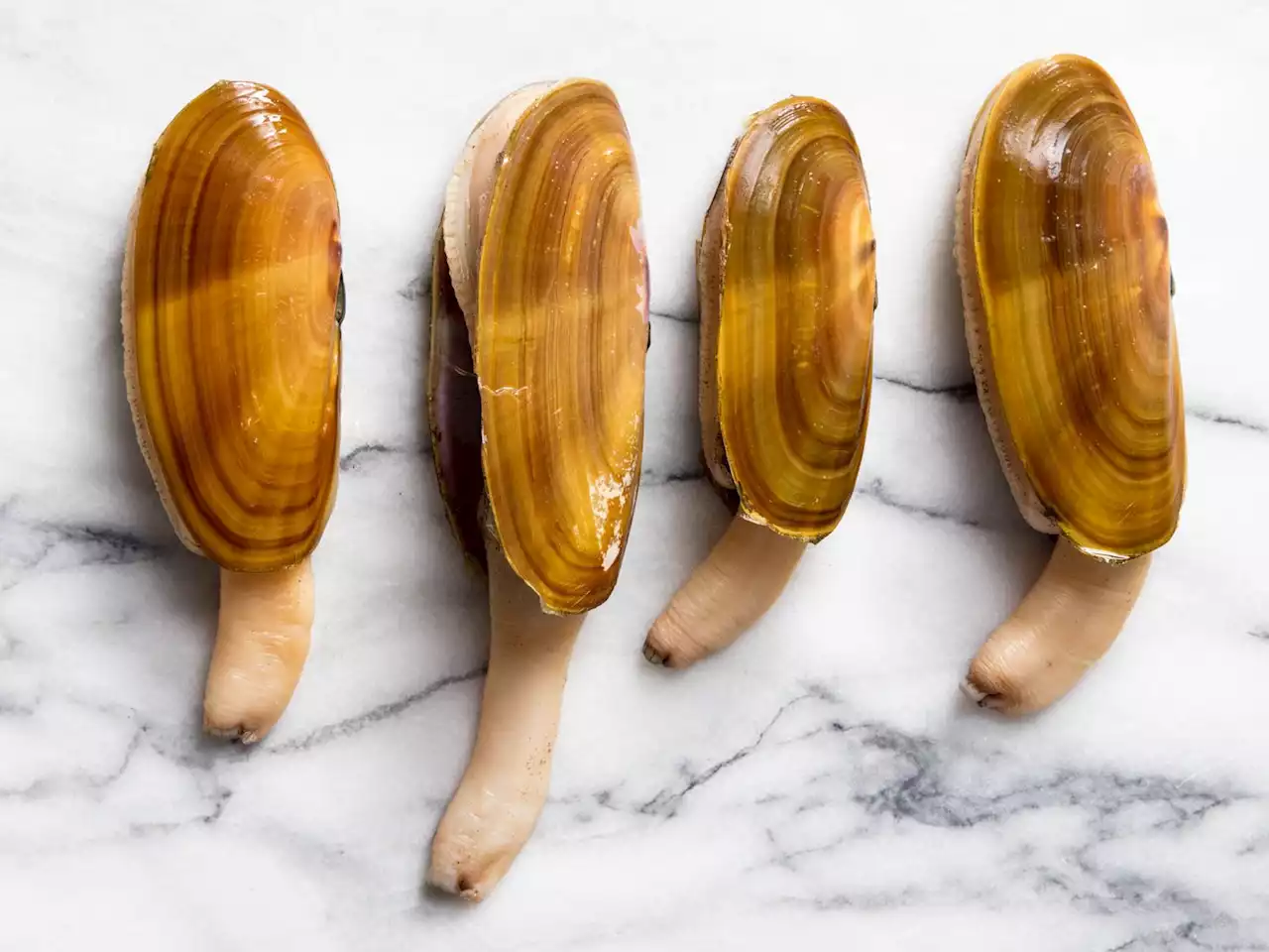 Pacific Razor Clams: How to Catch, Clean, and Cook Them