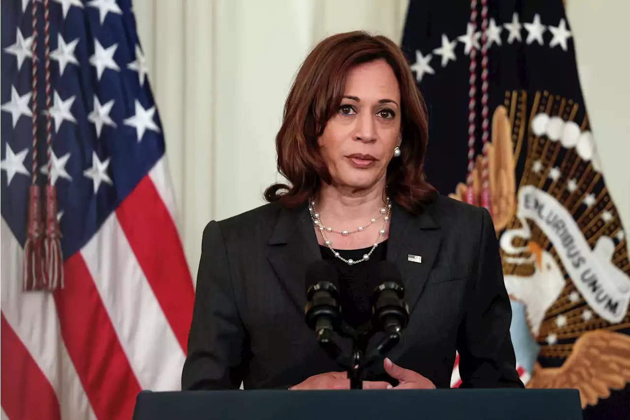 New poll suggests Democrats are misreading Kamala Harris' 2024 candidacy