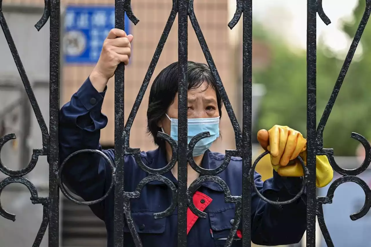 Shanghai Workers Clash With Guards in Locked Down Factory