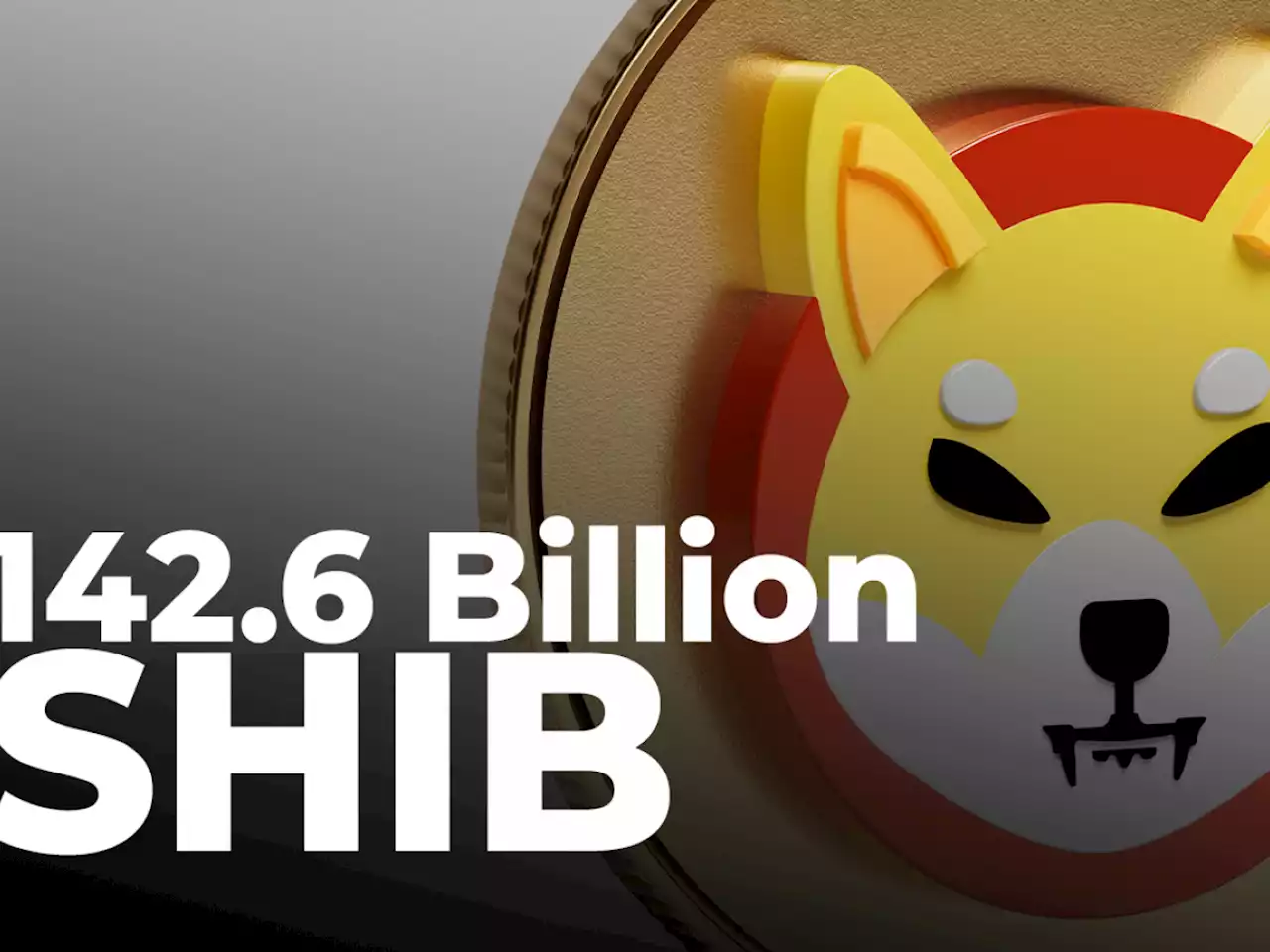 142.6 Billion SHIB Purchased by Investor as Whales' Shiba Balance Falls Below $500 Million