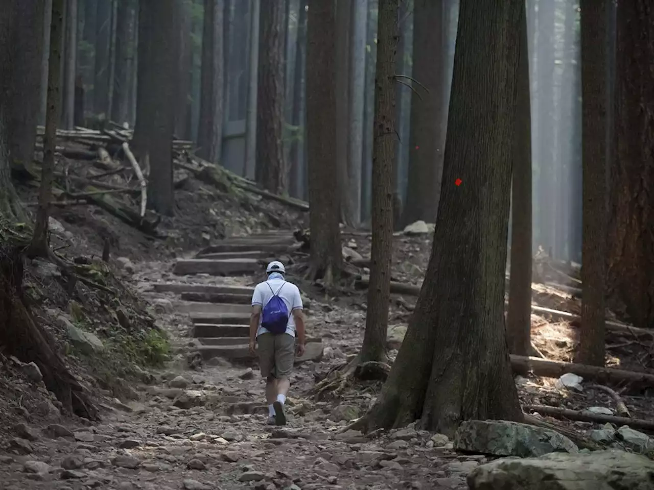 North Shore's Grouse Grind Trail reopens May 28 for the 2022 summer season