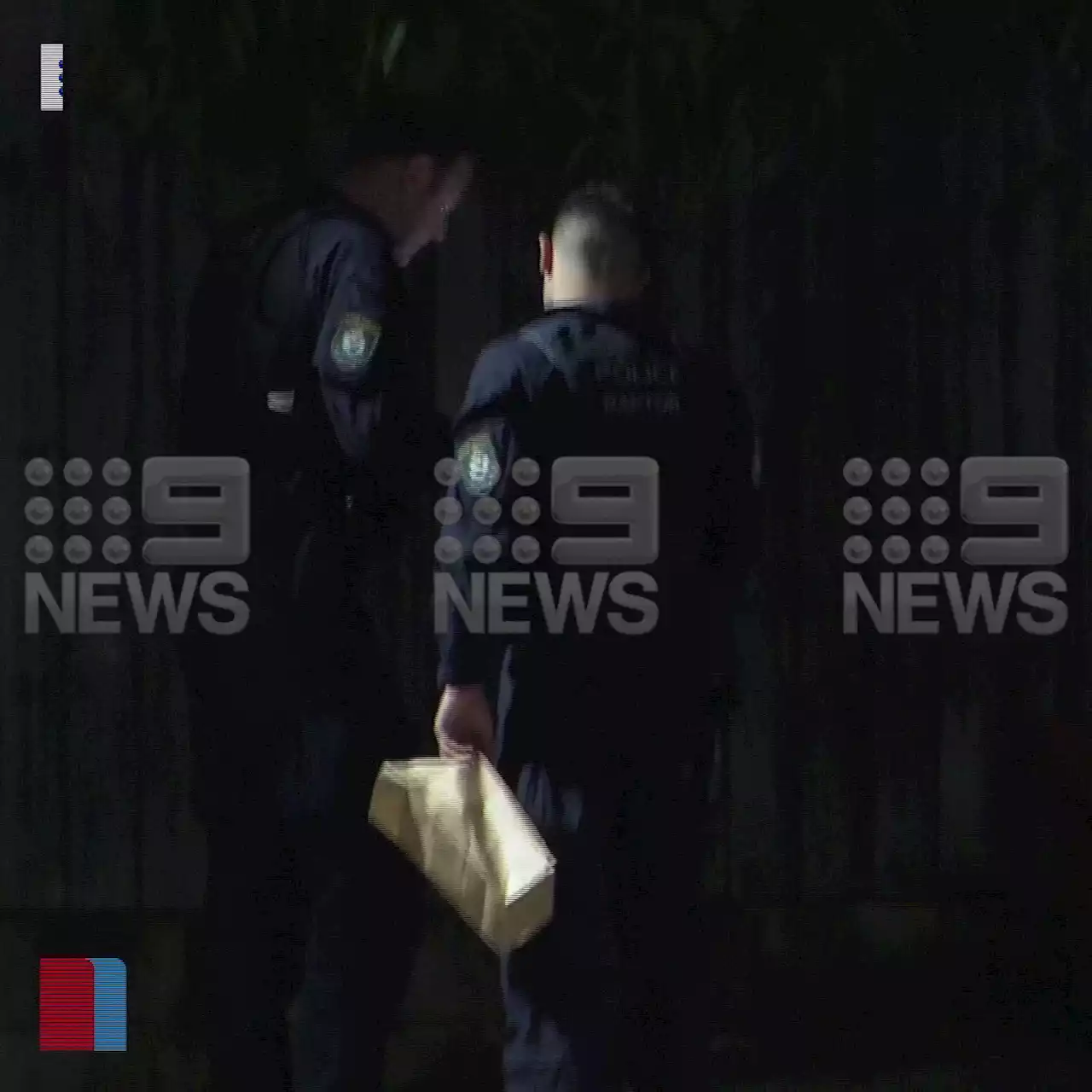 Sydney teenager arrested after alleged assault where gun was drawn