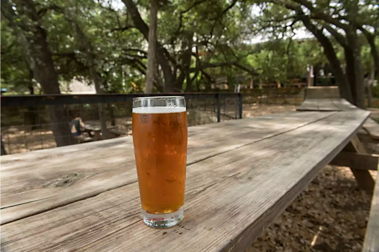 The Beergardigans Return: Austin Kids Grade Local Breweries