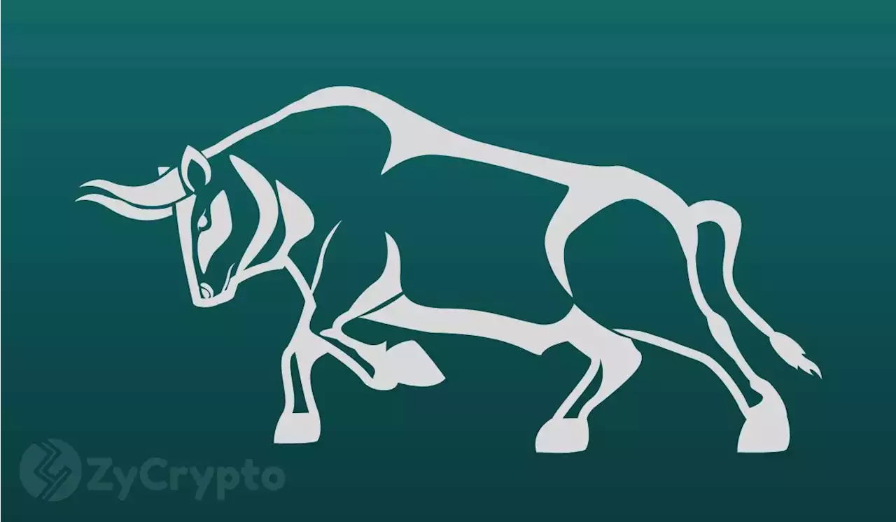 Institutional Trader Who Correctly Predicted The Crypto Winter Makes Bold Call For A New “Bull Market”