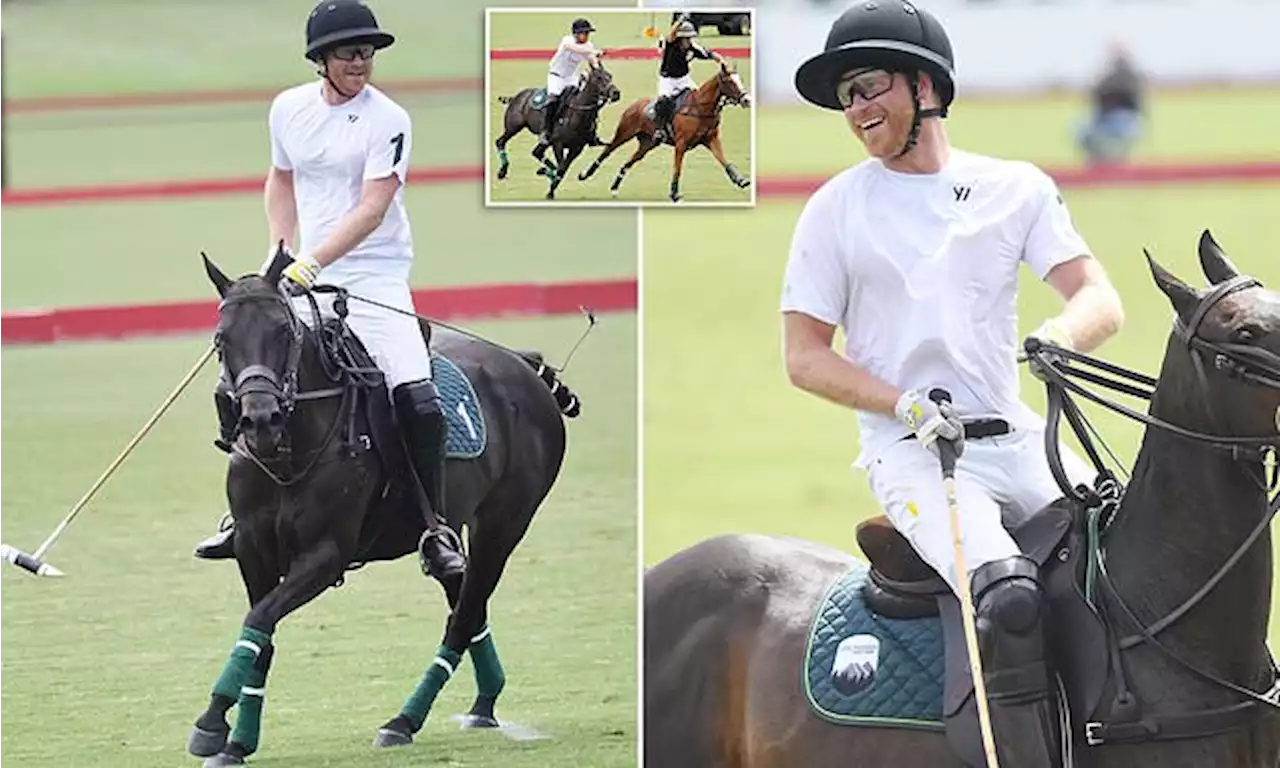 Prince Harry throws himself into Santa Barbara polo match