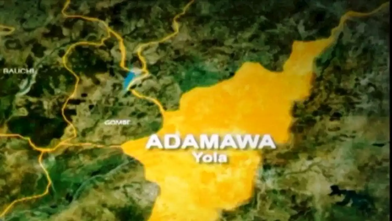 Adamawa judicial commission sacks 11 staff, demotes magistrate, 21 others