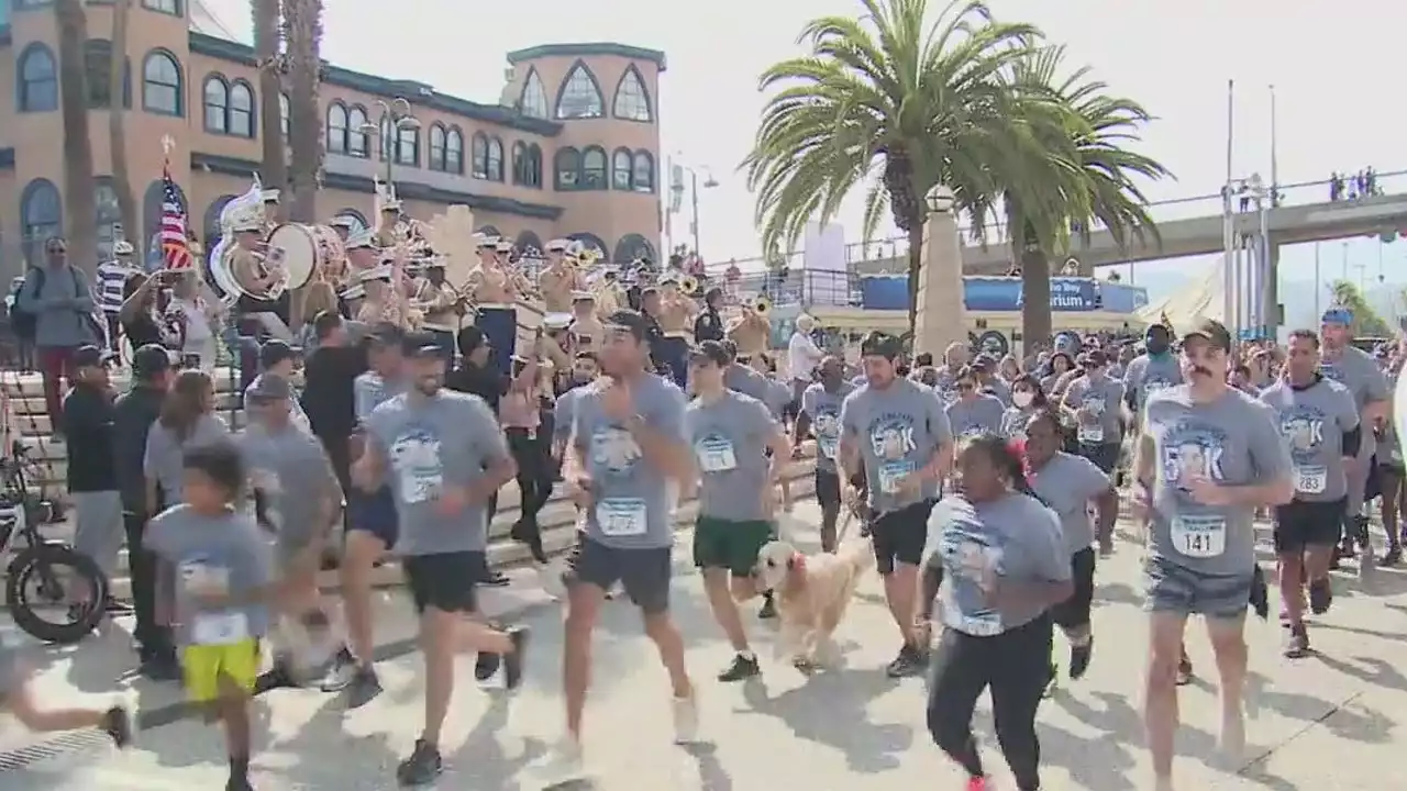 Rick Crocker 5K gives reminder of true meaning of Memorial Day