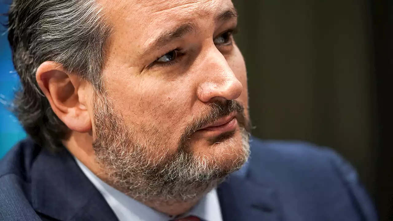 Texas school shooting: At NRA, Cruz urges 'single point of entry' in schools