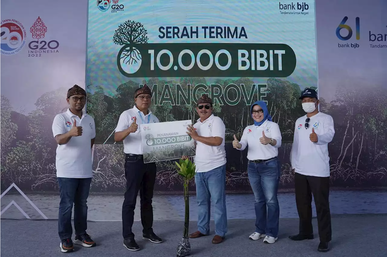 Tanam 2061 Pohon Mangrove, Bank Bjb Dukung Gerakan APU PPT