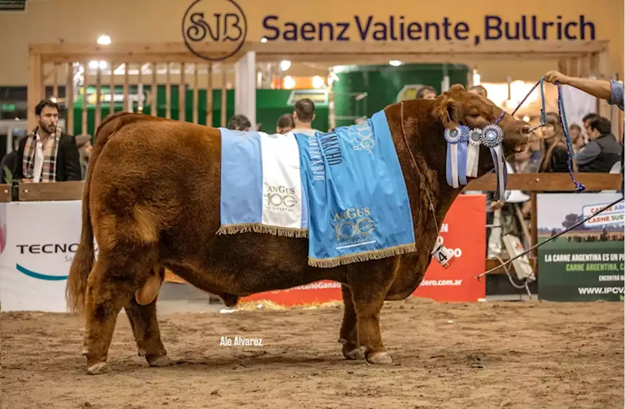 A pura emoción, se consagraron los grandes campeones del Centenario de Angus