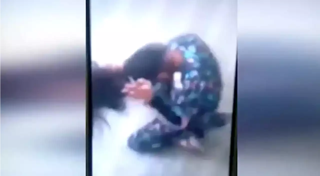 Una alumna fue golpeada por una compañera en una escuela secundaria de La Plata