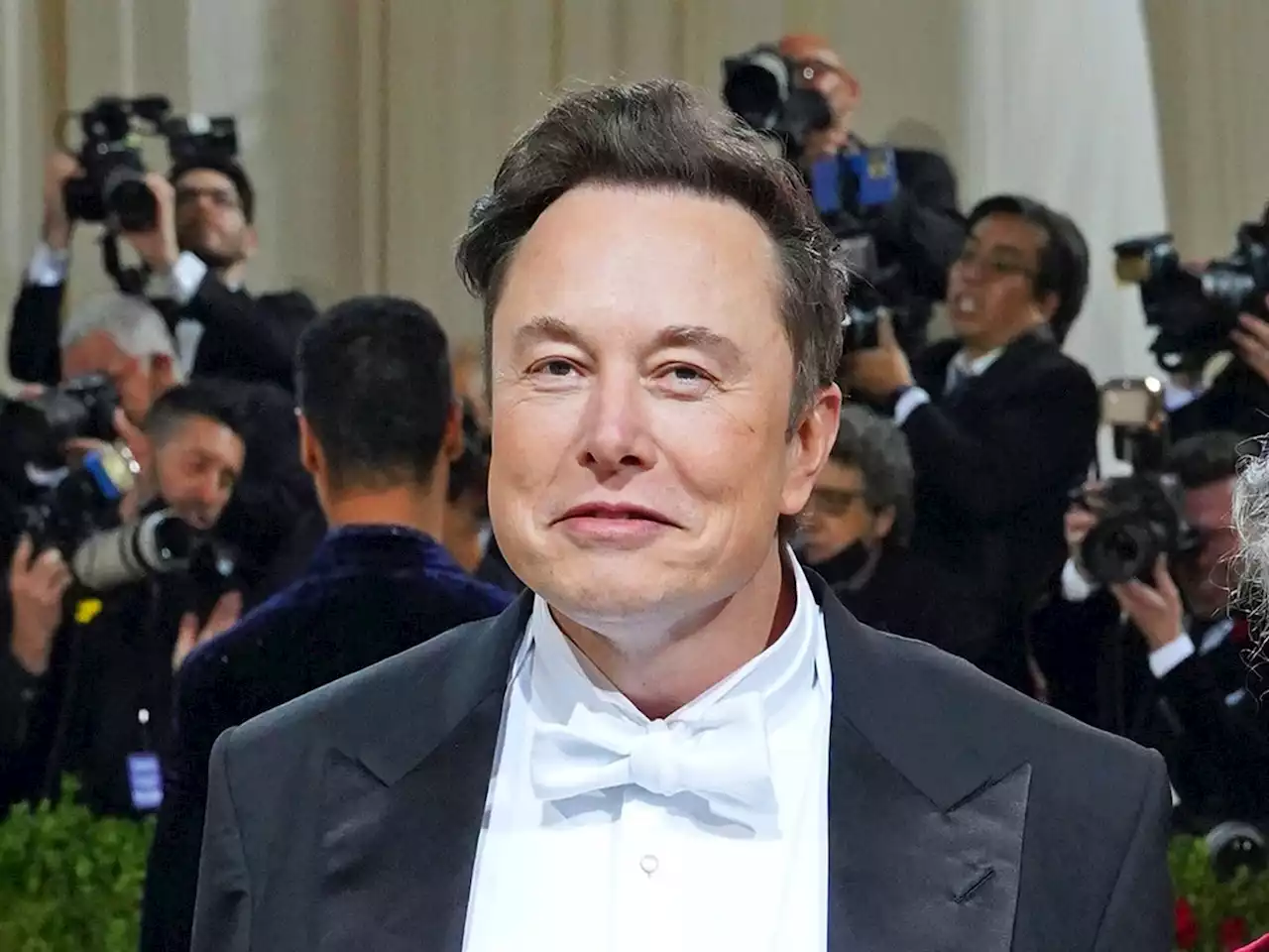 Elon Musk will either pay far less for Twitter or use fake accounts as an excuse to walk away, experts say | Businessinsider