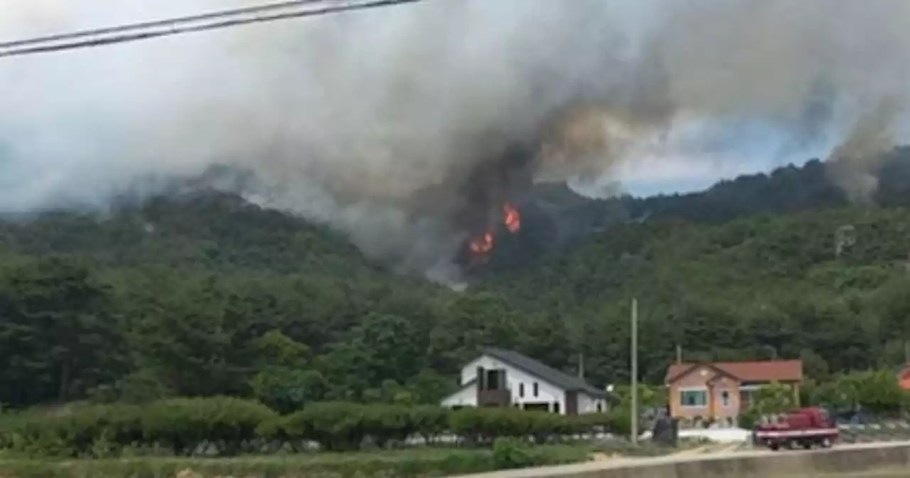 경북 울진서 산불... 인근 주민 대피령