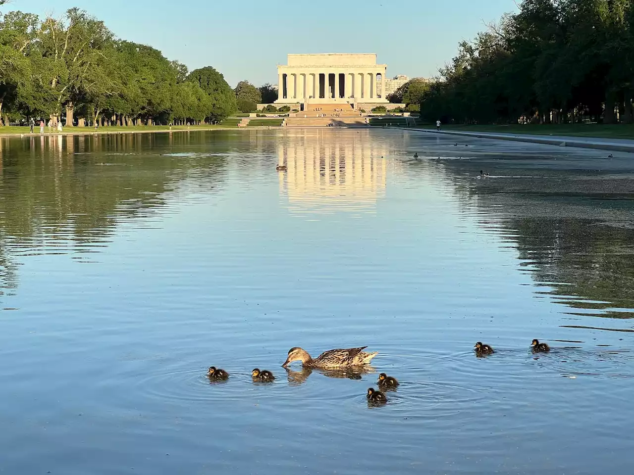 D.C.-area forecast: Heat builds through a mainly sunny Memorial Day weekend