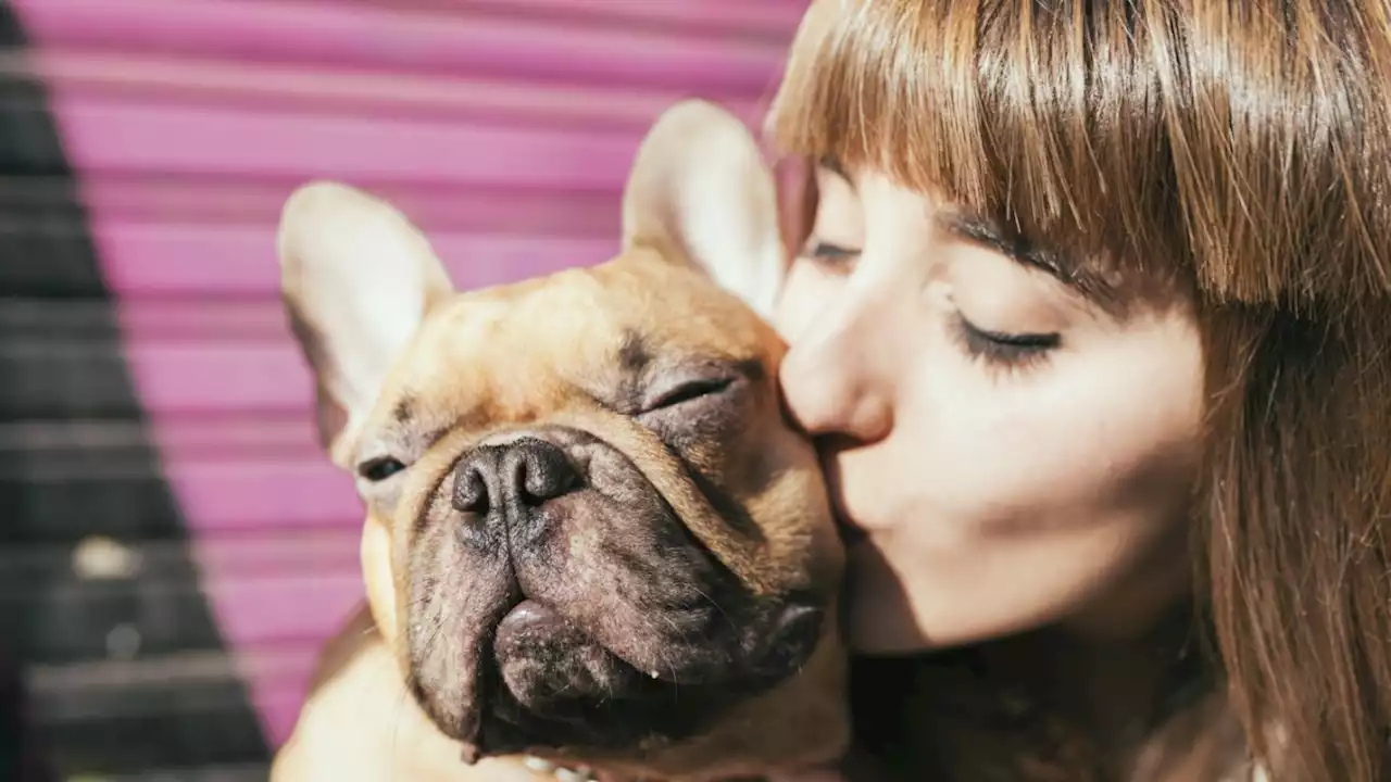 Tierliebe: Wenn der Hund wichtiger ist als der Partner