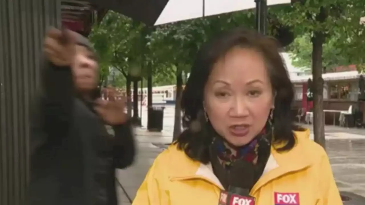 News Report on Chicago Gun Violence Interrupted by Man Pointing Gun at Camera