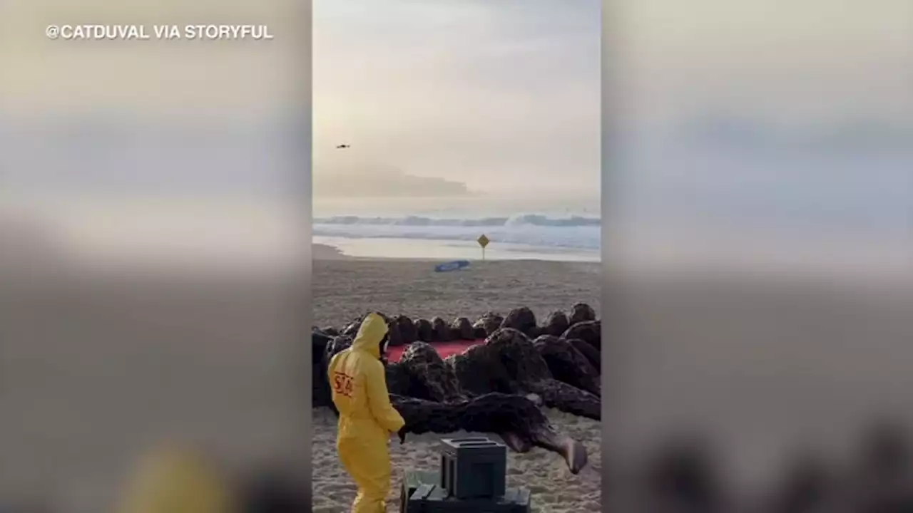 Installation for Netflix show 'Stranger Things' season 4 appears on Australian beach