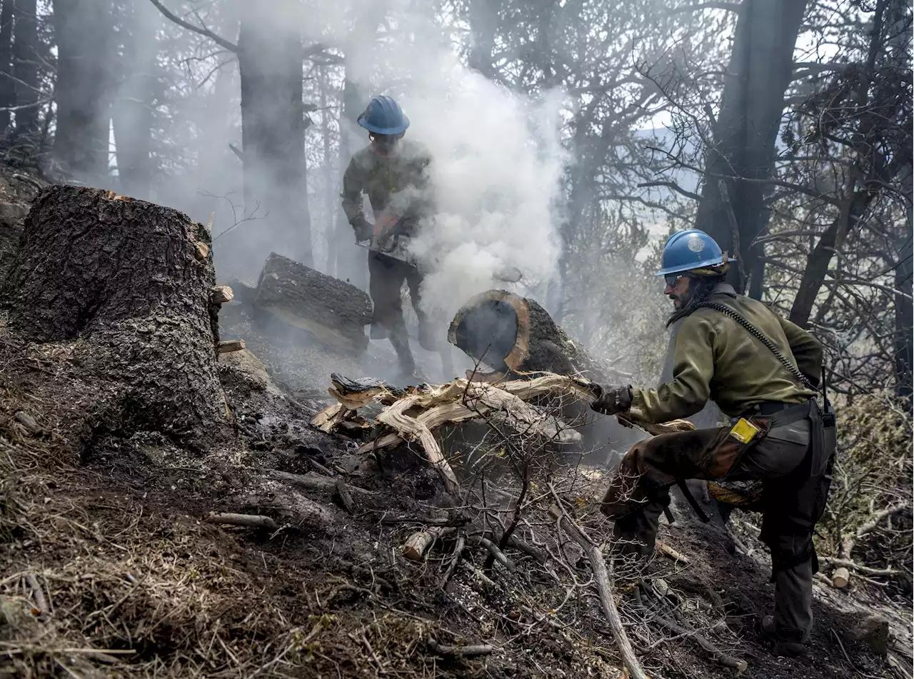 Critical fire condition warnings issued across US Southwest