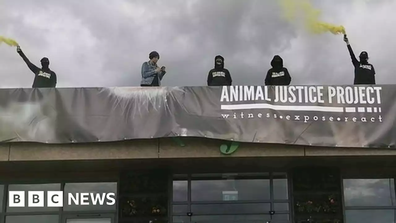 Darlington Beef Expo: Five arrested after rooftop protest