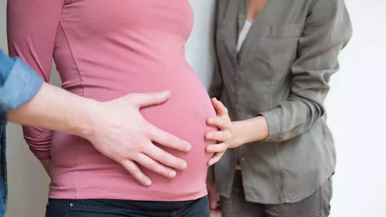 Expert says Oireachtas international surrogacy committee is being ‘rushed’