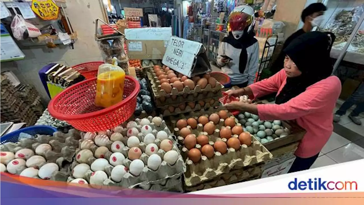 Pedagang: Harga Telur Anteng di Posisi Tinggi