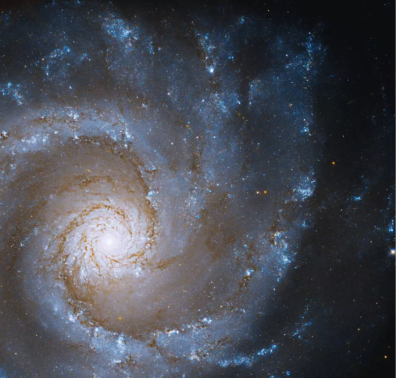 Hubble captures a perfectly formed Grand Design Spiral | Digital Trends