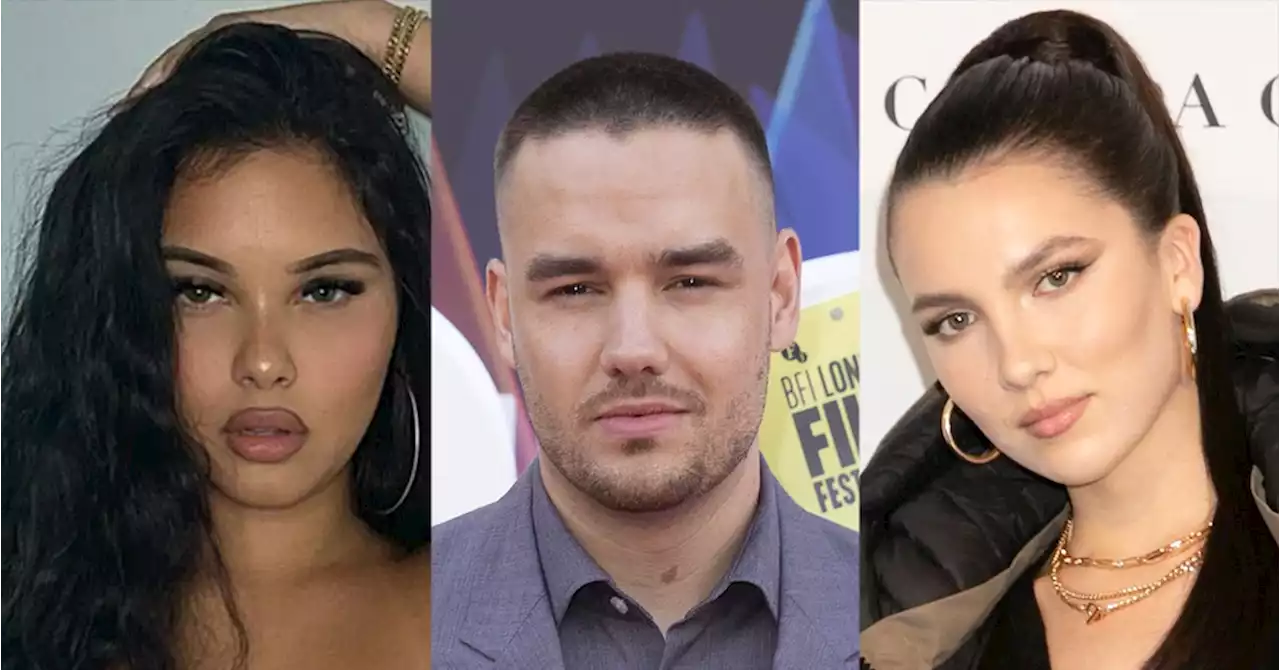 Aliana Mawla Responds to Liam Payne Cheating Allegations After His Split From Maya Henry - E! Online