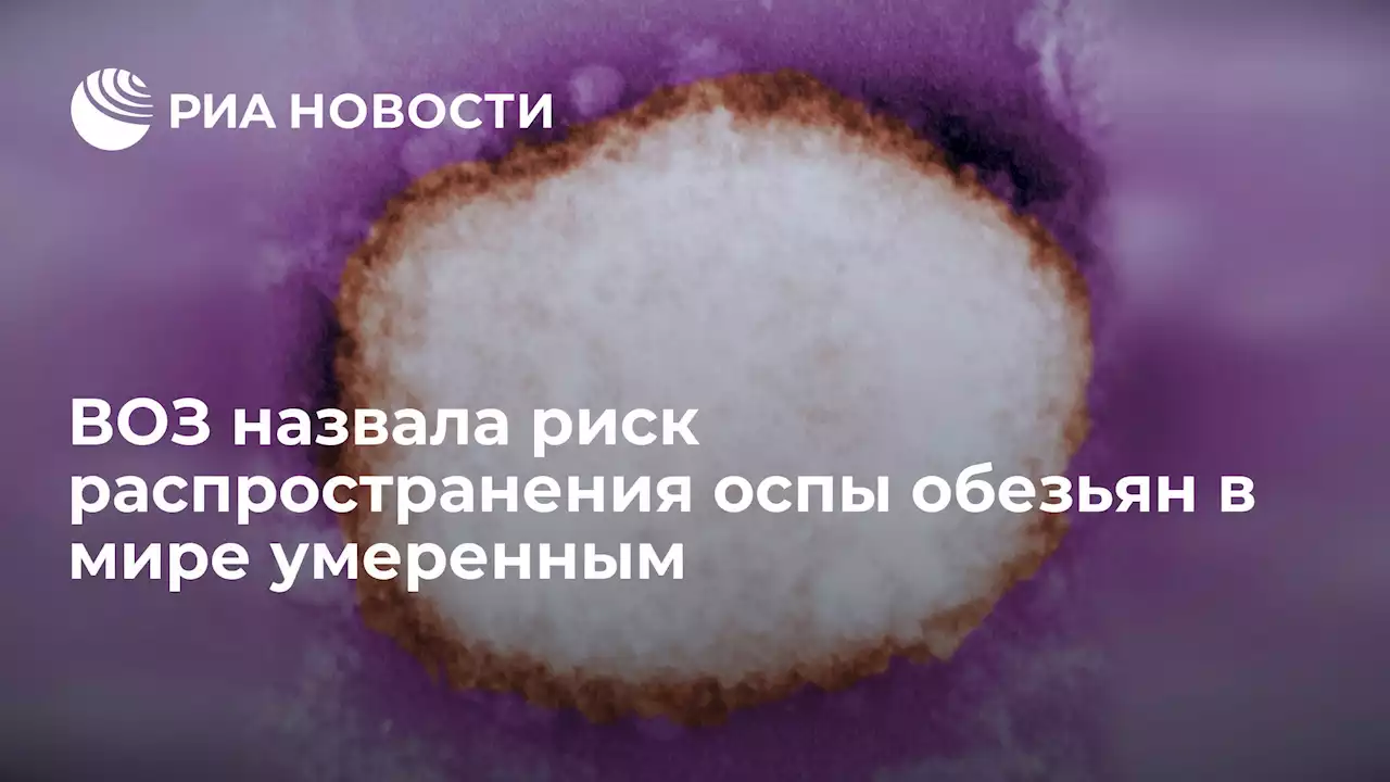 ВОЗ назвала риск распространения оспы обезьян в мире умеренным