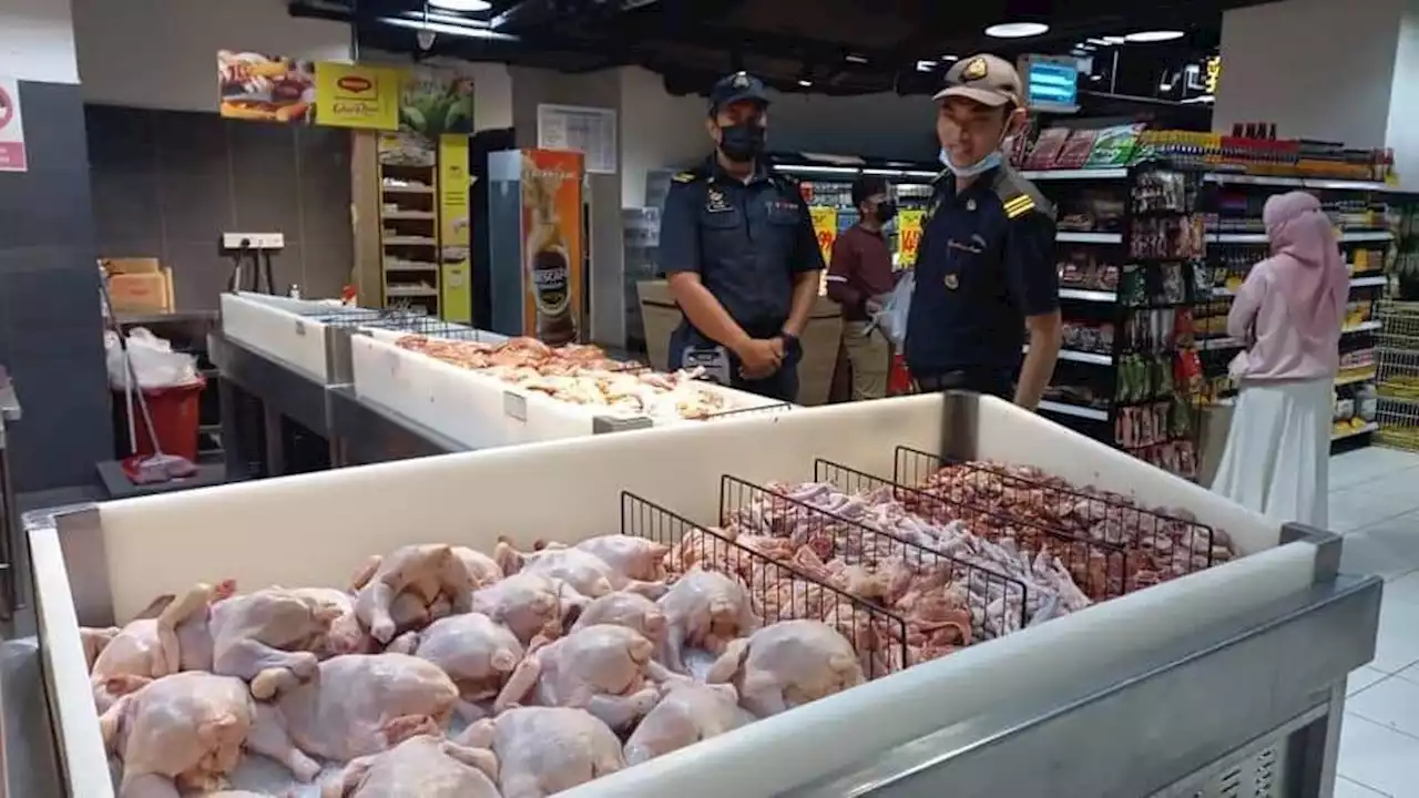 Enough fresh chicken to meet Kaamatan demand in Sabah