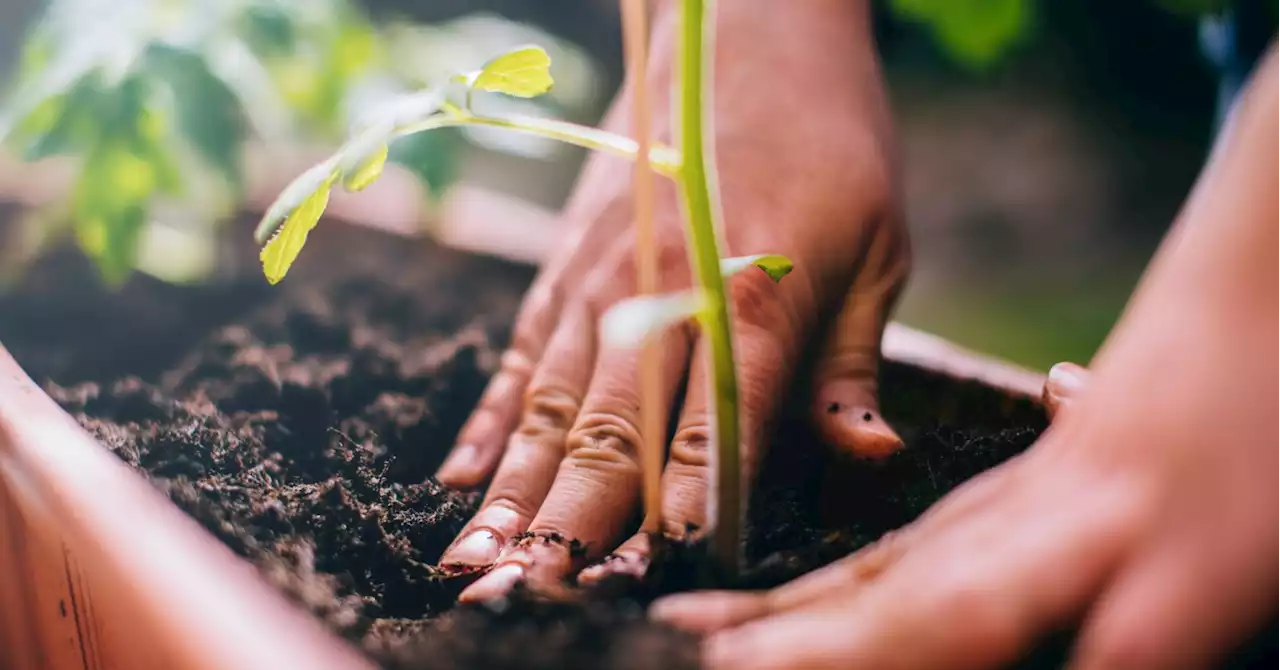 “I’ve struggled with my mental health my entire life – now, gardening helps me to cope”