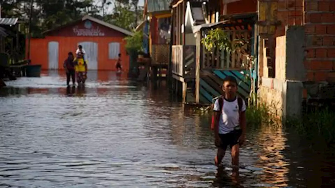 Dozens killed in Brazil landslides and floods